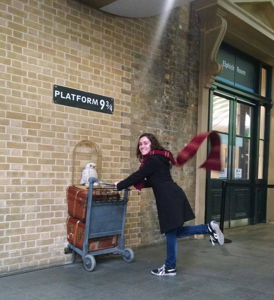 Picture of Fer in King's Cross station